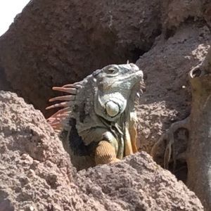 Meet your Posher, Eva